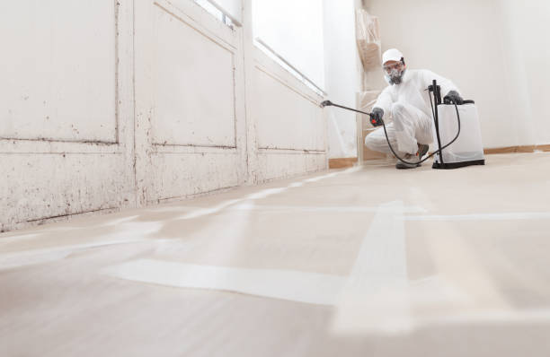24/7 Emergency Mold Testing experts in Mineral Point, PA