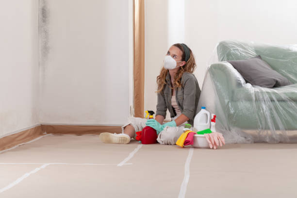 Reliable Mold Testing contractor in Mineral Point, PA by WQB Mold Removal